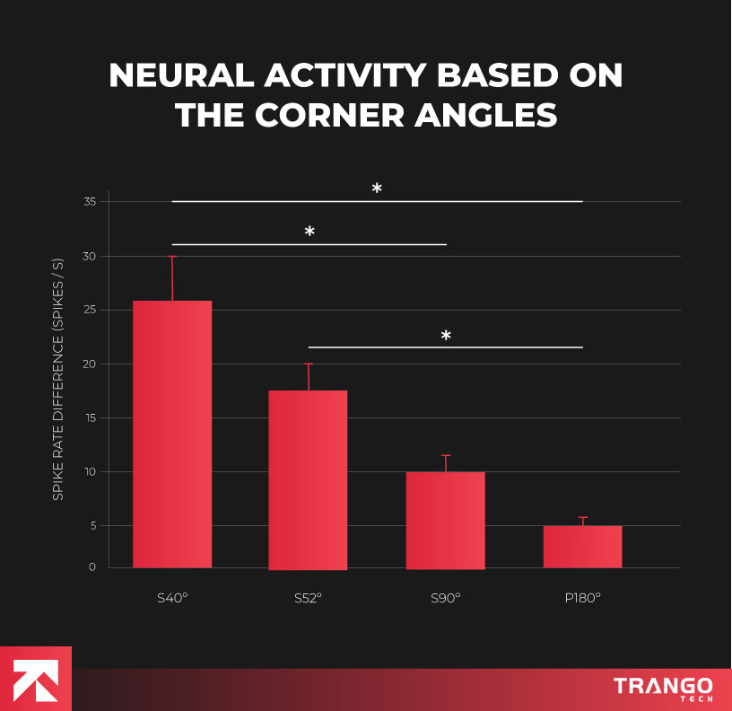 infographic showing neural activity study for round shaped app design
