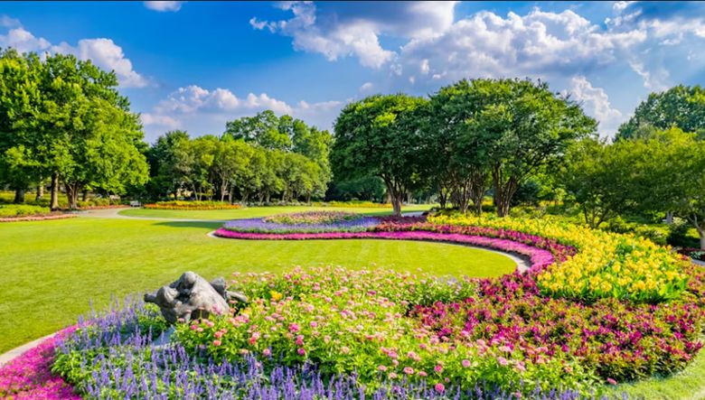 dallas arboretum image showing garden and flowers