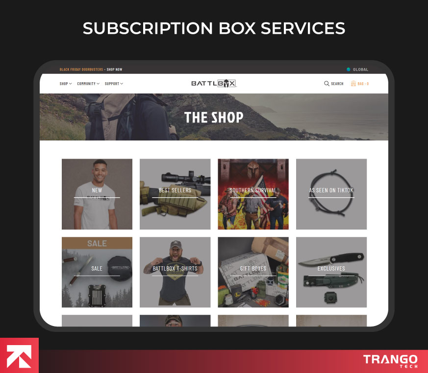 showing an example of subscription box web app