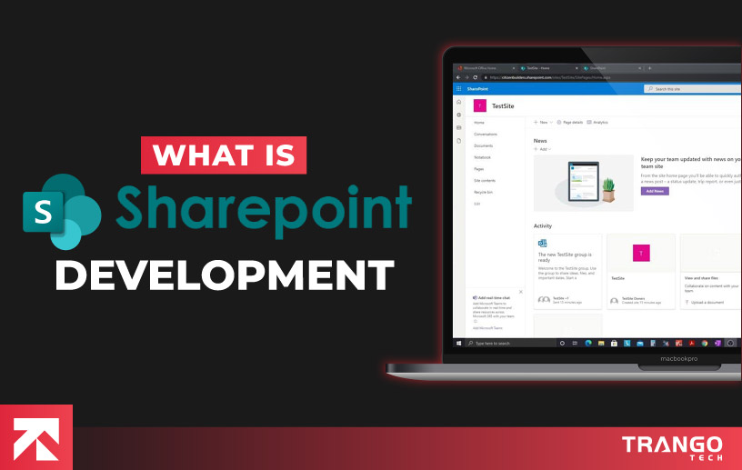 what is sharepoint development