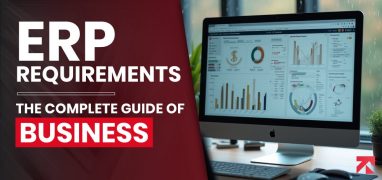 what are erp requirements