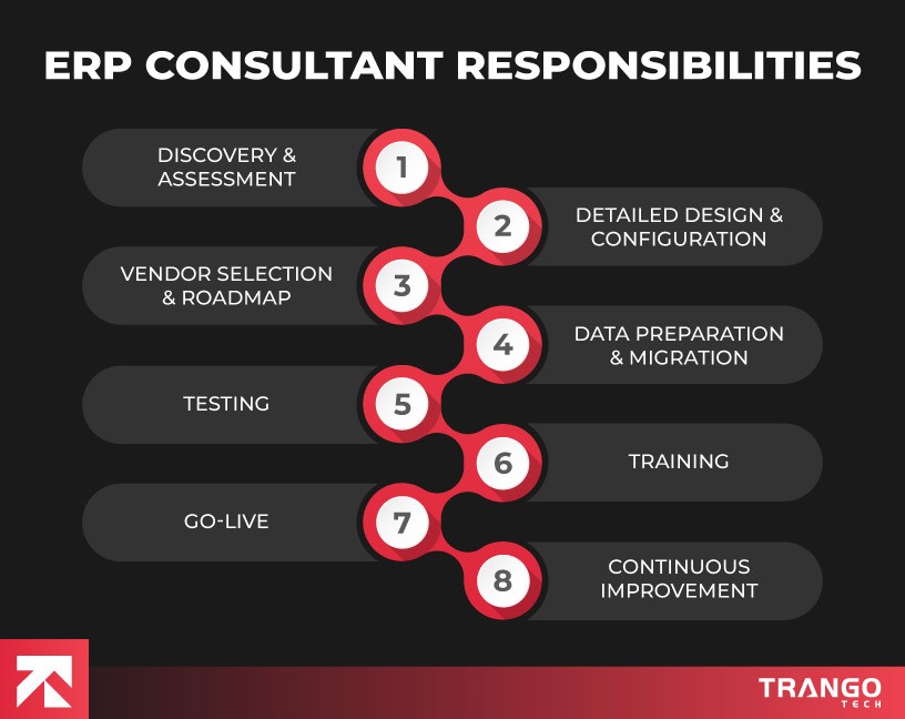 erp consultant responsibilites