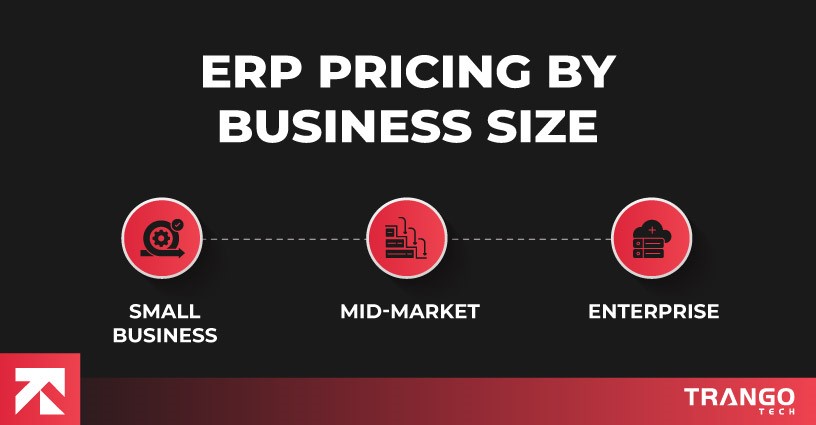 erp pricing by business size