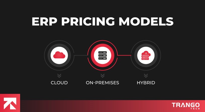 erp pricing models