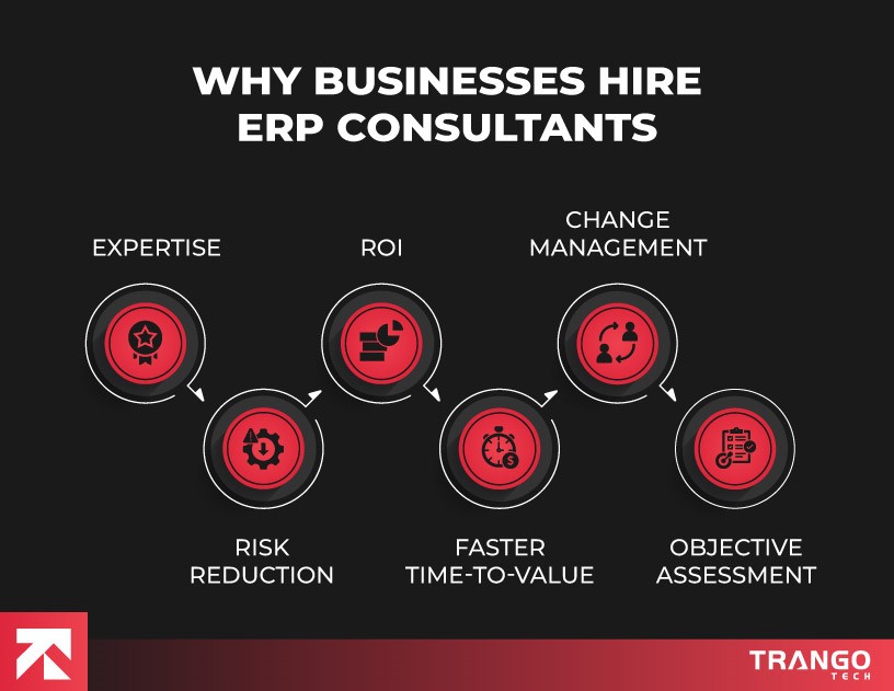 why businesses hire erp consultants
