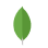 MongoDB Logo