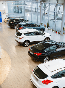 Vehicle <br> Dealerships